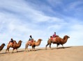 敦煌鸣沙山又堵骆驼,敦煌鸣沙山骆驼行走图片