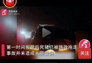 野猪群组团横穿马路,高速撞到野猪怎么赔偿？