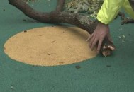 单元门掉落砸伤2老人,73岁老人工地干活被砸伤怎么赔偿？