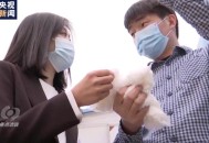 央视起底电热衣乱象,电热衣对身体有害吗