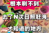 赶海顺便救了个人,赶海顺便救了个人怎么办
