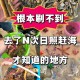 赶海顺便救了个人,赶海顺便救了个人怎么办