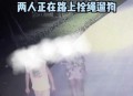 未牵绳大狗扑1岁娃,未牵绳小狗被大狗咬死