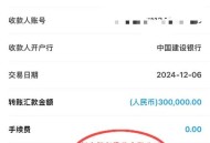 取现20万 银行报警,取现20万 银行报警怎么处理