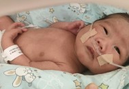 早产娃出保温箱离世,早产的宝宝进保温箱需要多少钱，成活率高吗？