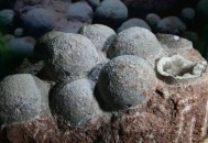 7千万年前恐龙蛋,千万年的时间里恐龙蛋都经历了什么？