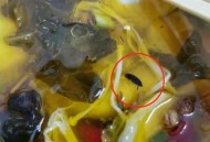 未开封奶茶惊现蟑螂,一点点真的有蟑螂奶茶吗？