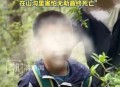 14岁自闭症男孩坠楼,14岁自闭症男孩坠楼死亡