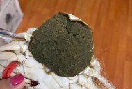 蟹藏车内2年才取出,螃蟹爬进车内不出来怎么办? 蟹藏车内2年才取出,螃蟹爬进车内不出来怎么办?