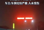 撞死闯国道野猪全责,高速出现6只野猪，小车避让不及撞上获全责，路遇动物能不能撞？