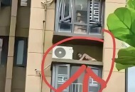 装1500斤玻璃被压死,为什么玻璃幕墙会撞死飞鸟在清晨？