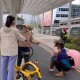 8岁女童被撞身亡,南阳8岁小学生下校车后过马路被撞身亡，谁该担责？