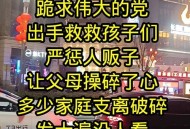 人贩子扬言出狱报复,人贩子扬言出狱报复女主