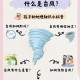 台风的名字是谁取的,台风的名字是谁取的?