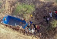 坠谷生还后被烧死 ,家里出现印度谷螟怎么清除，急？