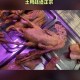 河南热死了5只大鹅,鸭子能耐多少度高温？