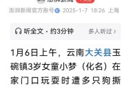 狗闯村民家咬伤女童,成都1岁半女童被狗咬伤头部，民警暴雨中连闯三红灯送医, 你怎么看？