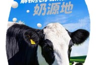 在花园挖70万欧黄金,花园黄金牧场纯牛奶如何？