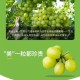 阳光玫瑰变阳光没贵,阳光玫瑰葡萄和香印是一样的吗？