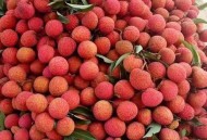 新鲜的荔枝长这样,新鲜的荔枝是什么时候上市？新鲜的荔枝是什么？