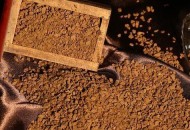 咖啡上撒蟑螂1杯40元,咖啡里有蟑螂是真的吗？