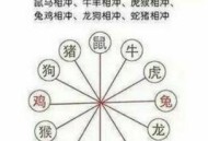 首次记录到六虎同框,一牛站六虎是什么意思？