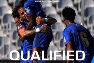 世界杯最小参赛国,世界杯国土面积最小国家？