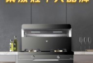 拍吸烟视频栽赃华人,华人集成灶是名牌吗？