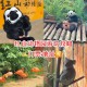 红山动物园门票涨价,南京红山动物园门票？