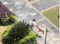 乘电梯被狗扑咬出血,我家狗狗前脚被电梯夹了一下，脚指被夹破了，指甲还有部分在肉上，能？