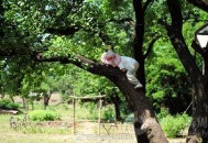 80后爬树成全国冠军,80后爬树成全国冠军了吗