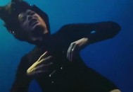 生理期潜水被鲨鱼咬,潜水被鲨鱼咬死