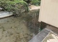 男童景观池触电身亡,在水池里如何防漏电？