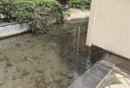 男童景观池触电身亡,在水池里如何防漏电？