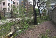 香港受灾者有新家了,山竹事件介绍？