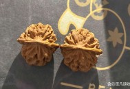 盘了4年的核桃发芽了,盘了4年的核桃发芽了还能吃吗