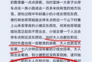 失联女童称自行下车,假如遇到了乐清滴滴事件，你会如何化解危机？