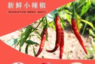 迪奥含小米椒提取物,迪奥小辣椒