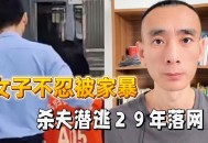 被家暴杀夫获刑15年,被家暴杀夫获刑15年判几年