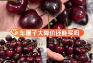 第一批车厘子近千元,第一批车厘子文案？