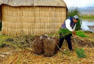 秘鲁火车对撞致1死,秘鲁寒流对附近陆地的影响是什么？