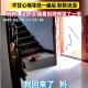 2岁女童家门口消失,河北10岁男童下楼扔垃圾走失，曾看了家门口一眼却跑向另一边，怎么回事？