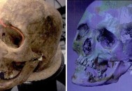 将死者大脑误给家属,将死者大脑误给家属犯法吗