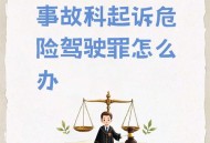 撞车女子涉危险驾驶,教唆他人危险驾驶是什么罪？