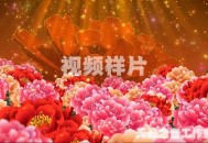 马年春晚官宣,马年春晚视频