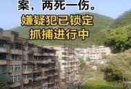 男子持刀致2死潜逃,拿刀故意伤人，捅了两刀，会判刑吗?判多久？