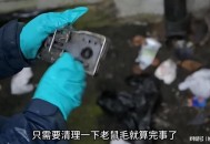 住全季半夜被老鼠咬,我的房间地板下有只老鼠晚上就一直在咬东西，吵的我都没法睡觉了，谁有高招把老鼠给杀掉？谢谢？