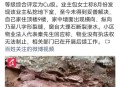邻居偷挖300平地下室,怎么挖地下室不影响邻居家地基？
