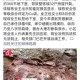 邻居偷挖300平地下室,怎么挖地下室不影响邻居家地基？