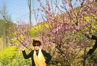 喉咙痛咽喉长满雪花,三月踏青原唱？